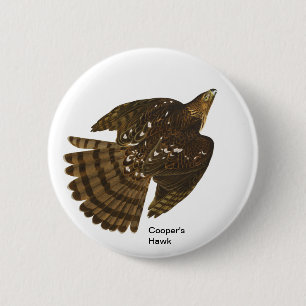 Badge Rond 5 Cm Cooper's Hawk par John James Audubon, Hawk Bird