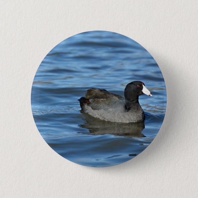 Badge Rond 5 Cm Coot américain (Devant)