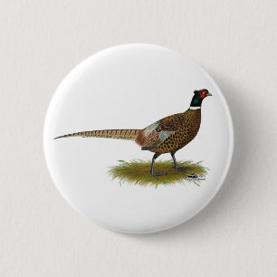 Badge Rond 5 Cm Coq de faisan