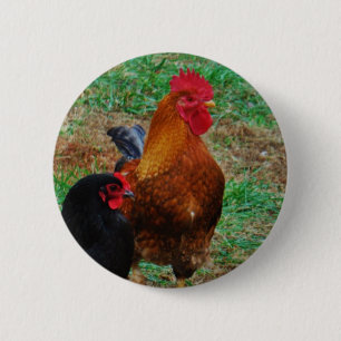 Badge Rond 5 Cm Coq et haricot noir
