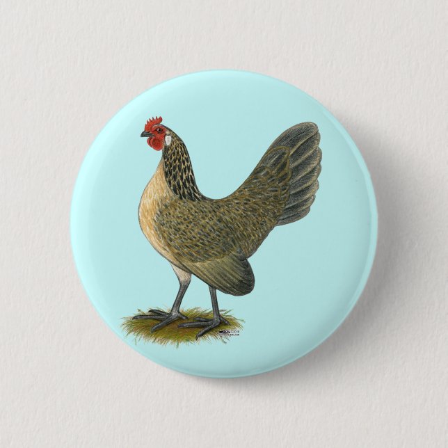 Badge Rond 5 Cm Coq nain néerlandais :  Poule bleue de cailles (Devant)