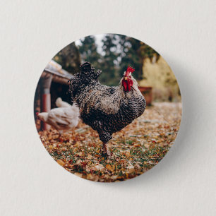 Badge Rond 5 Cm Coq noir et blanc à deux poules dans la nature