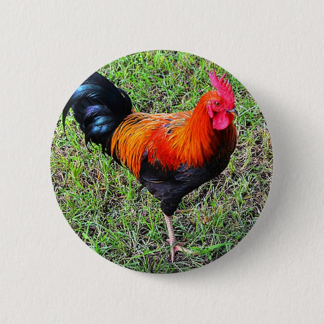 Badge Rond 5 Cm Coq-Un-griffonnage-Faites (Devant)