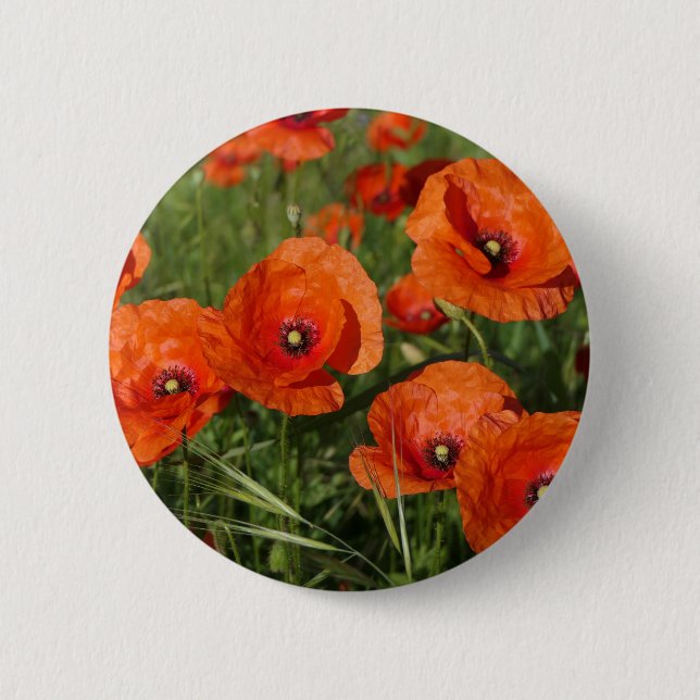 Badge Rond 5 Cm Coquelicots communs (Devant)