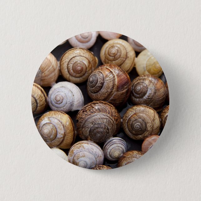 Badge Rond 5 Cm Coques des escargots (Devant)
