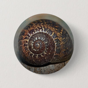 Badge Rond 5 Cm Coquille d'escargot
