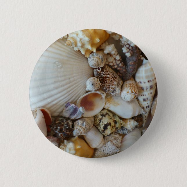 Badge Rond 5 Cm Coquilles de Sanibel (Devant)