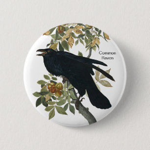 Badge Rond 5 Cm Corbeau commun par Audubon, Corbeau noir, Oiseau