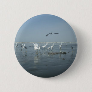 Badge Rond 5 Cm Corbeau noir et grues blanches : un contraste dans