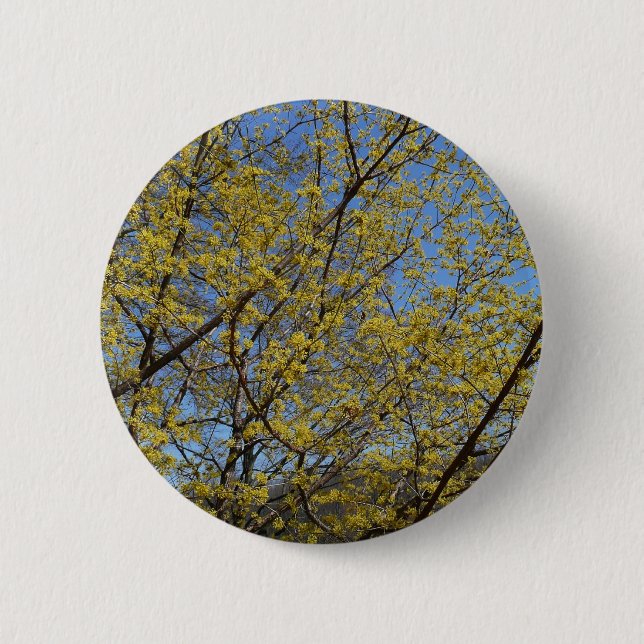 Badge Rond 5 Cm Cornelian Cherry (Devant)
