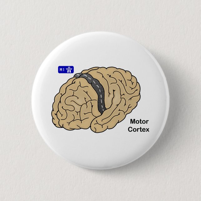 Badge Rond 5 Cm Cortex moteur (Devant)