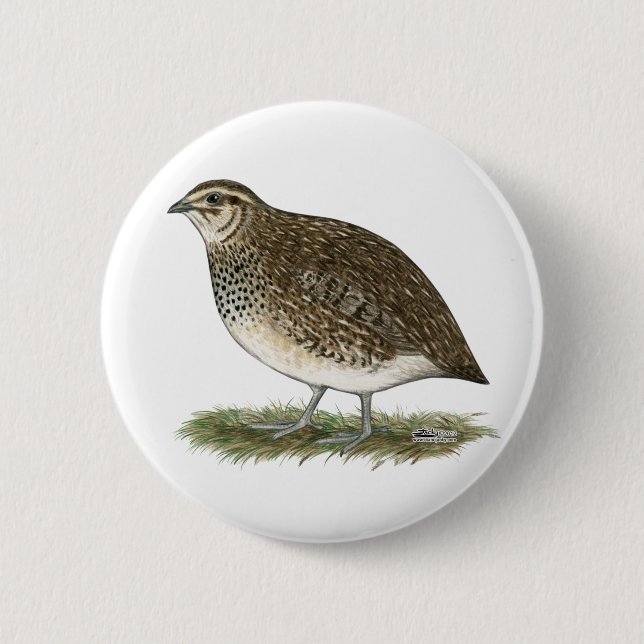 Badge Rond 5 Cm Coturnix Quail (Devant)