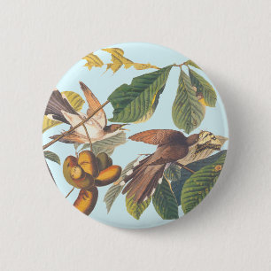Badge Rond 5 Cm Coucou à bec jaune Audubon