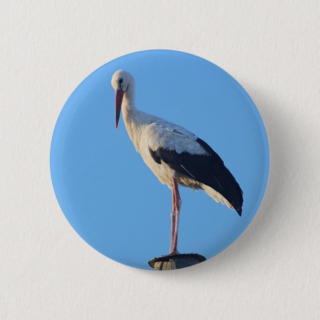 Badge Rond 5 Cm Coulée sur poteau (Devant)