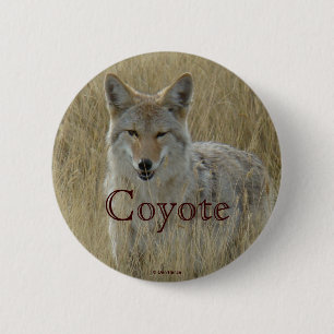 Badge Rond 5 Cm Coyote R2 dans les hautes herbes