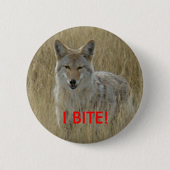 Badge Rond 5 Cm Coyote R2 dans l'herbe grande (Devant)