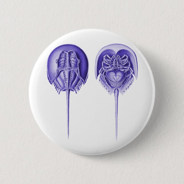 Badge Rond 5 Cm Crabe en fer à cheval (Devant)