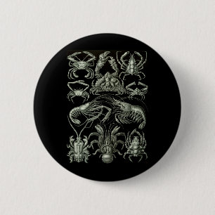 Badge Rond 5 Cm Crabes et homards