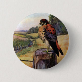 Badge Rond 5 Cm Crécerelles américaines sur une barrière de