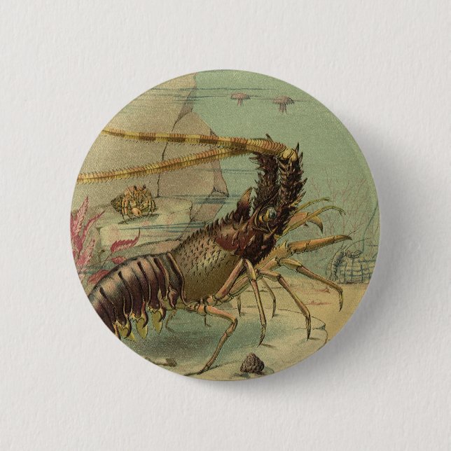 Badge Rond 5 Cm Crevettes, Vie sous-marine, Animaux de l'océan vin (Devant)