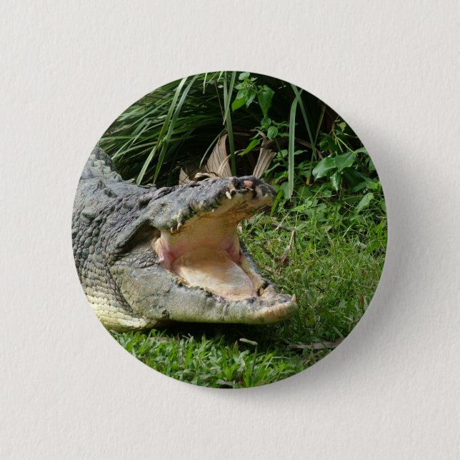 Badge Rond 5 Cm Crocodile (Devant)