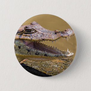 Badge Rond 5 Cm Crocodile fondu à Tortuguero - Costa Rica