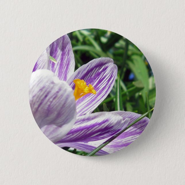 Badge Rond 5 Cm Crocus de printemps violet (Devant)