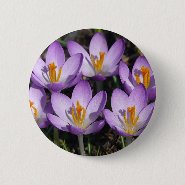 Badge Rond 5 Cm Crocus violets ensoleillés (Devant)