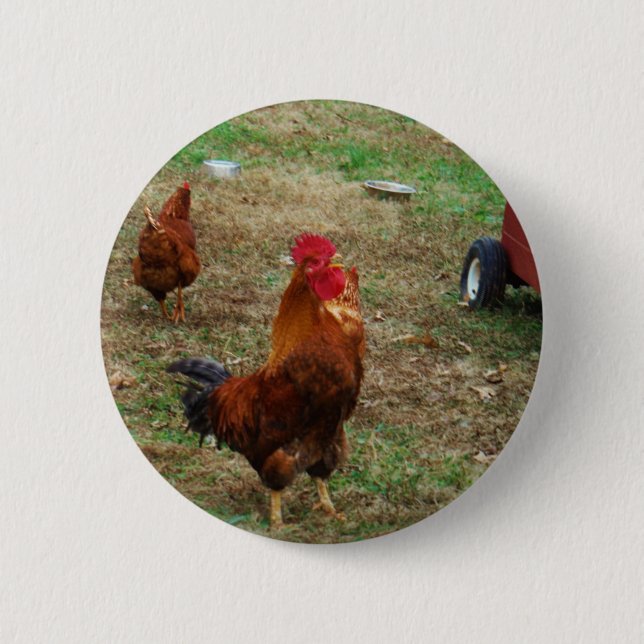 Badge Rond 5 Cm Croisement de coq (Devant)