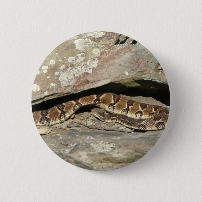Badge Rond 5 Cm Crotale à Shenandoah National Park (Devant)