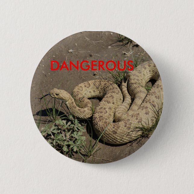 Badge Rond 5 Cm Crotale des prairies R6 (Devant)