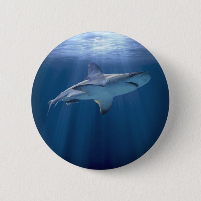 Badge Rond 5 Cm Cruising Shark (Devant)