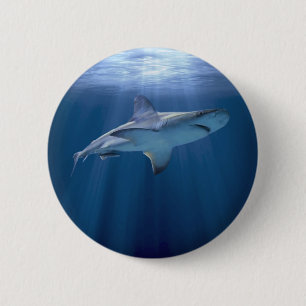 Badge Rond 5 Cm Cruising Shark
