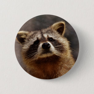 Badge Rond 5 Cm Curieux Raccoon