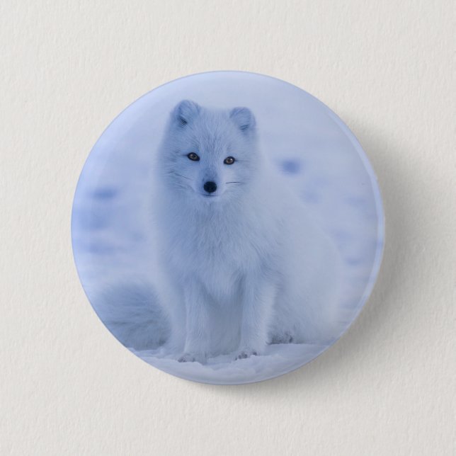 Badge Rond 5 Cm Cute Arctic Fox sur Snowy Winter Arrière - plan (Devant)