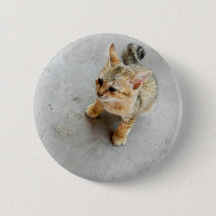 Badge Rond 5 Cm Cute chaton chaton sauvage