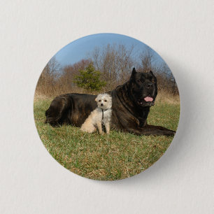 Badge Rond 5 Cm Cute Dog Couple