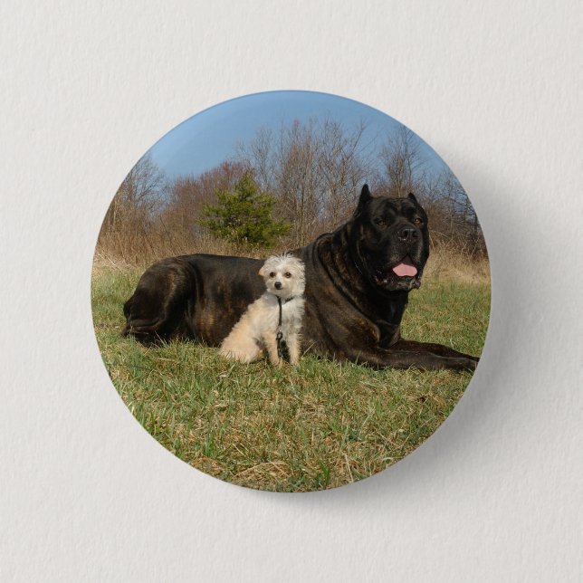 Badge Rond 5 Cm Cute Dog Couple (Devant)