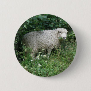 Badge Rond 5 Cm Cute Fluffy White Sheep Eating Button