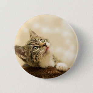 Badge Rond 5 Cm Cute Kitten avec une paille étirée