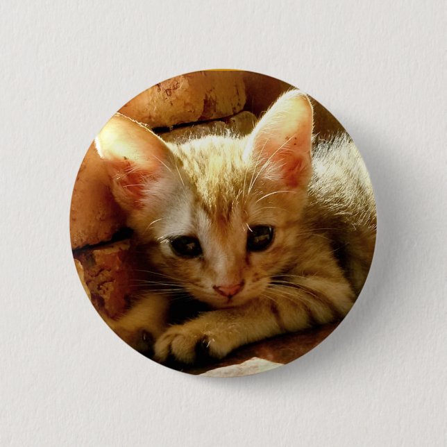 Badge Rond 5 Cm Cute Little Kitten (Devant)
