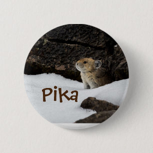 Badge Rond 5 Cm Cute Pika dans la photo de neige