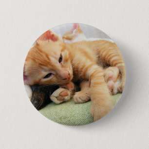 Badge Rond 5 Cm Cute Tiger Stripe Kitten