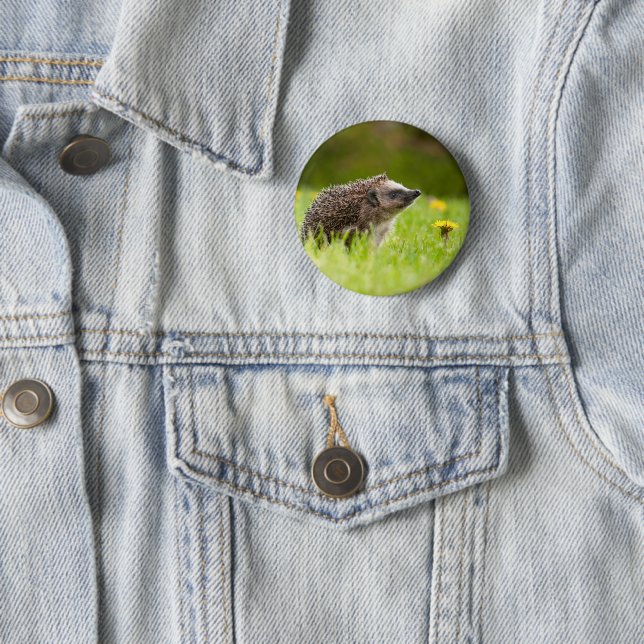 Badge Rond 5 Cm Cutest Baby Animals | European Hedgehog (En situation)