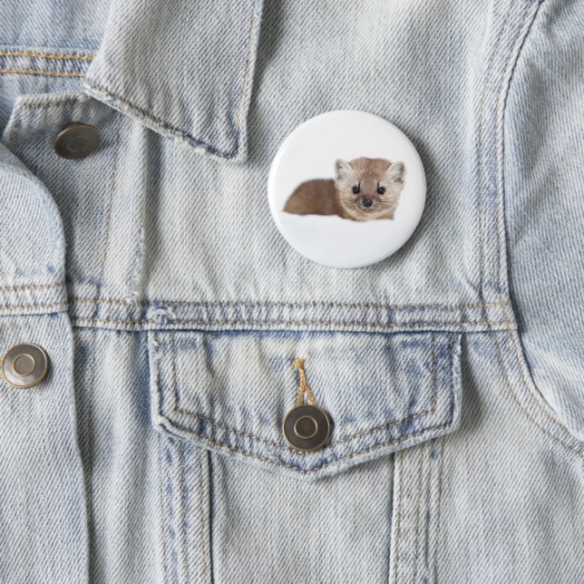 Badge Rond 5 Cm Cutest Baby Animals | Pine Marten (En situation)