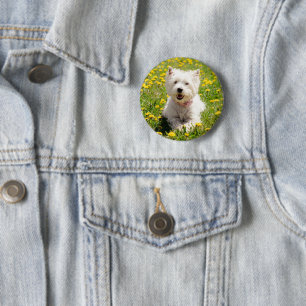 Badge Rond 5 Cm Cutest Baby Animals   Westie Dog in Dandelions