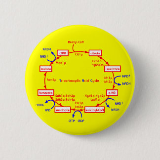 Badge Rond 5 Cm cycle d'acide tricarboxylique