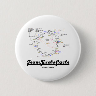 Badge Rond 5 Cm Cycle de Krebs d'équipe (cycle d'acide citrique -