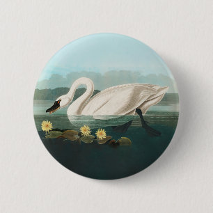 Badge Rond 5 Cm cygne audubon cygnes d'eau blanche