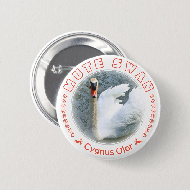 Badge Rond 5 Cm Cygne tuberculé (Devant & derrière)